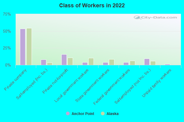 Class of Workers in 2022