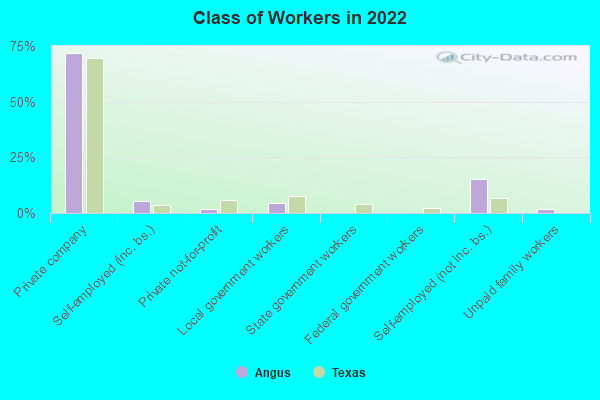 Class of Workers in 2022