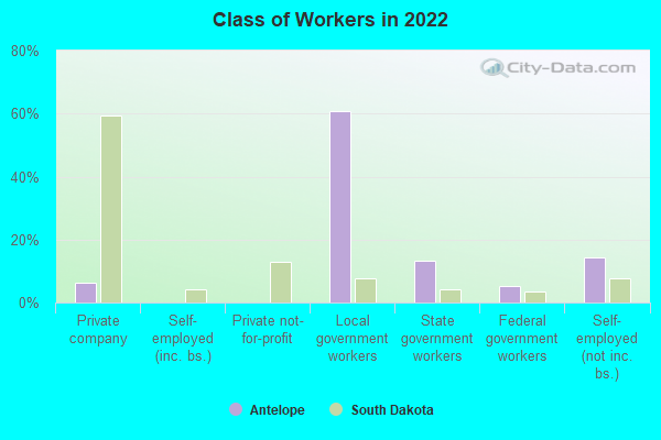 Class of Workers in 2022