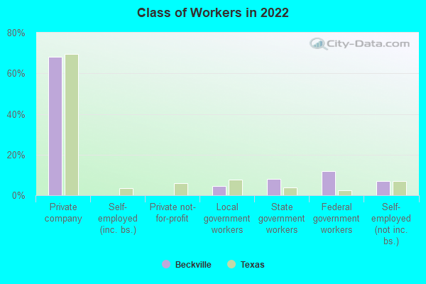 Class of Workers in 2022