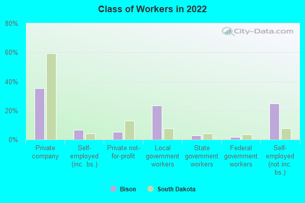 Class of Workers in 2022