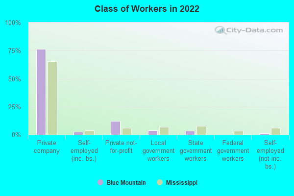 Class of Workers in 2022