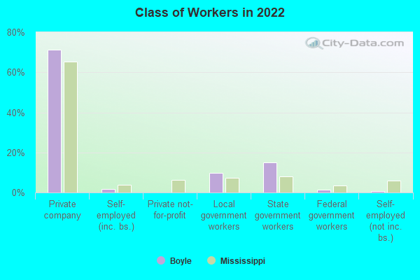 Class of Workers in 2022