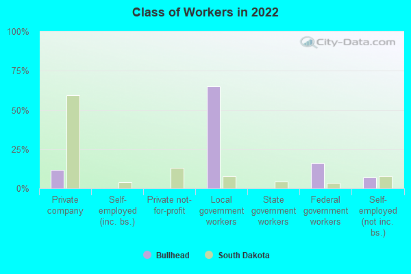 Class of Workers in 2022