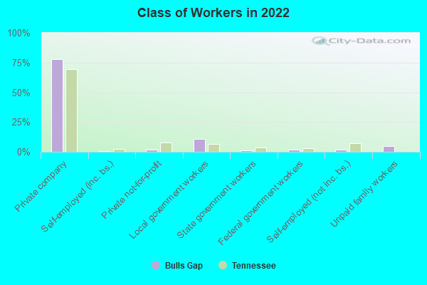 Class of Workers in 2022