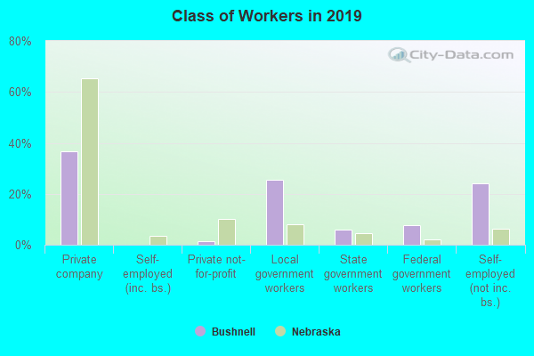 Class of Workers in 2022