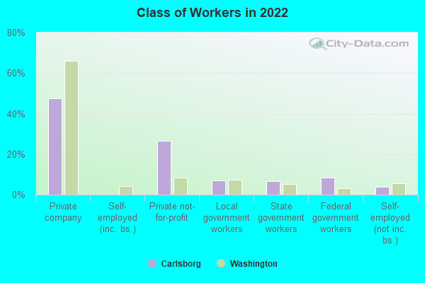 Class of Workers in 2022