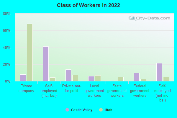 Class of Workers in 2022