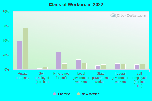 Class of Workers in 2022