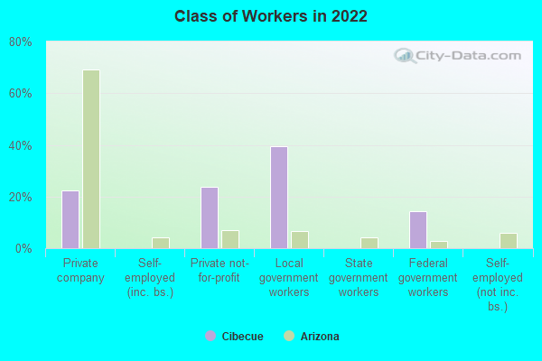 Class of Workers in 2022