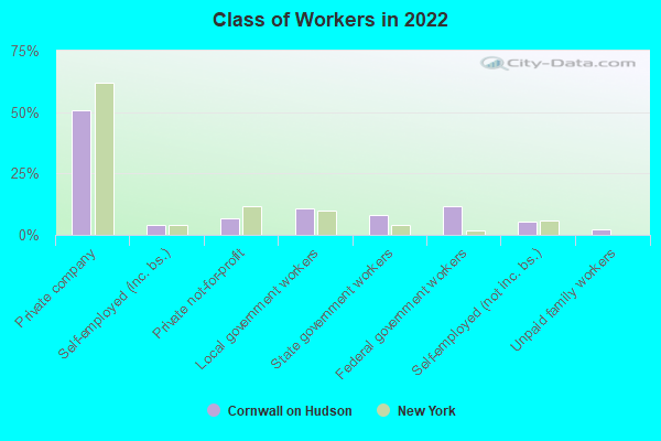 Class of Workers in 2022