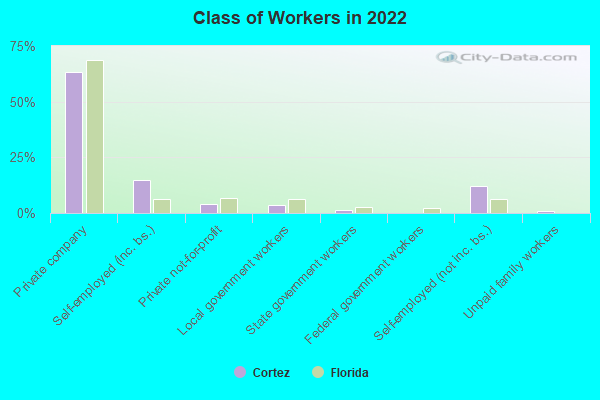 Class of Workers in 2022