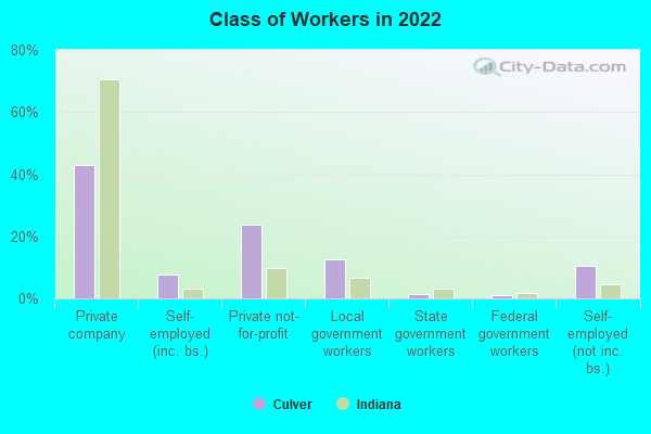 Class of Workers in 2022