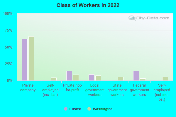 Class of Workers in 2022