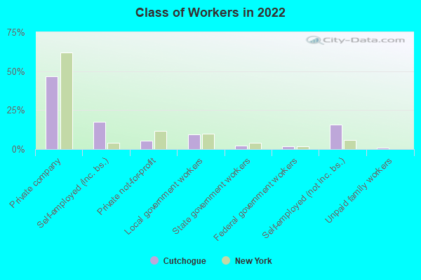 Class of Workers in 2022