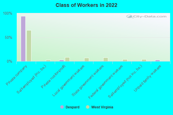 Class of Workers in 2022