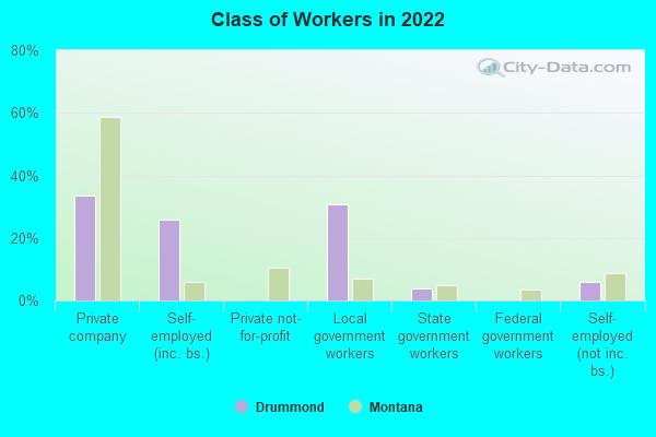 Class of Workers in 2022