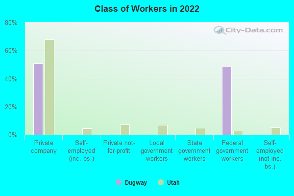 Class of Workers in 2022