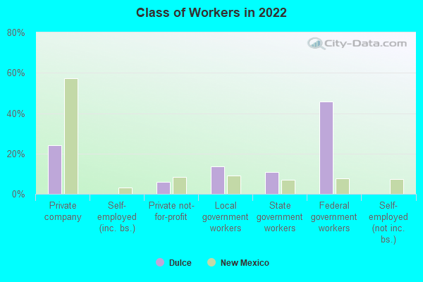 Class of Workers in 2022