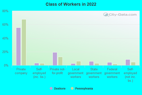 Class of Workers in 2022