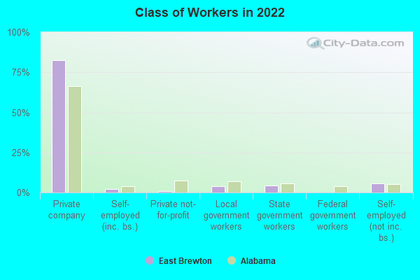 Class of Workers in 2022