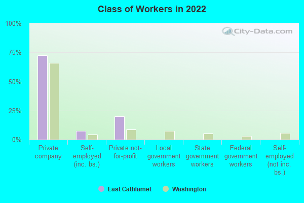 Class of Workers in 2022