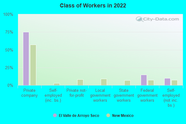 Class of Workers in 2022