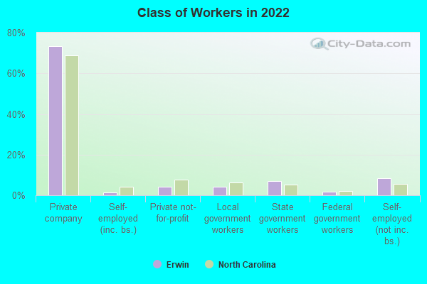 Class of Workers in 2022