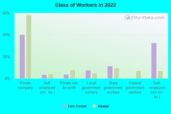 Class of Workers in 2022