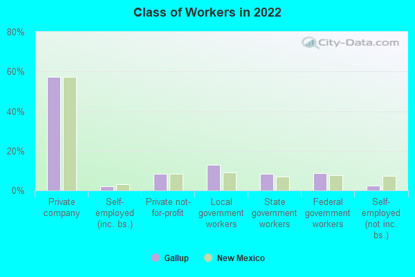 Class of Workers in 2022