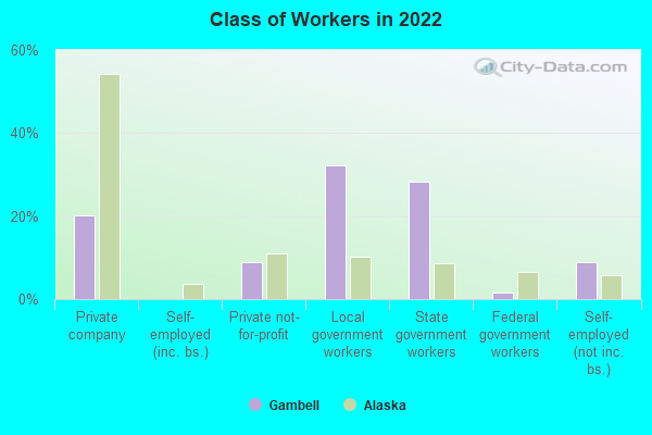 Class of Workers in 2022