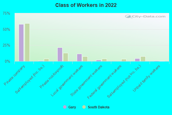 Class of Workers in 2022