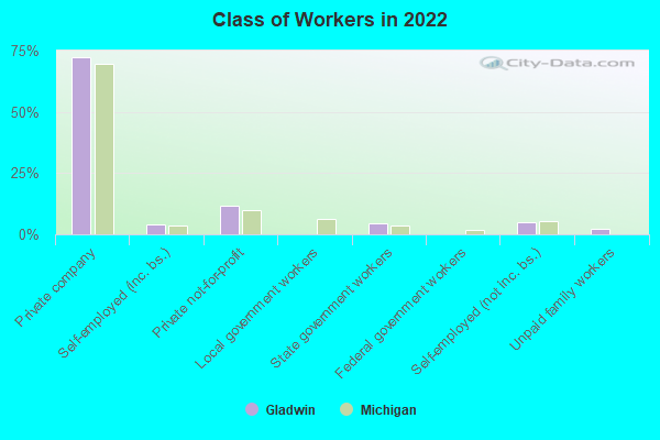 Class of Workers in 2022