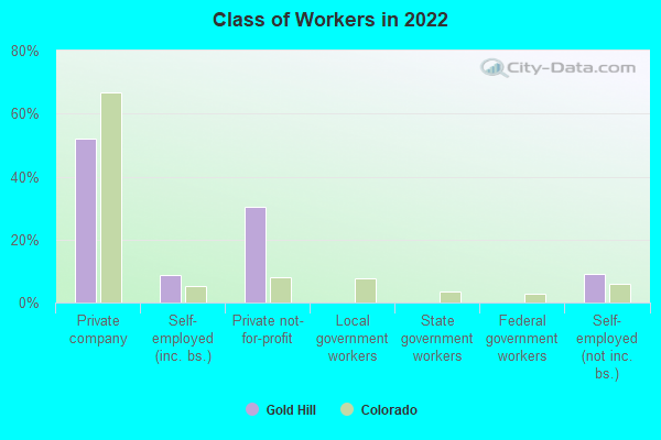 Class of Workers in 2022