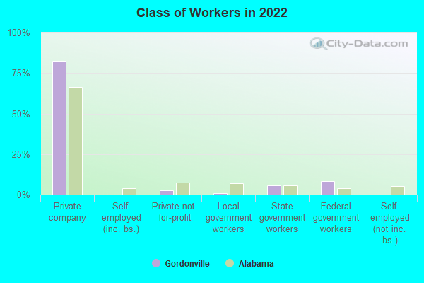 Class of Workers in 2022