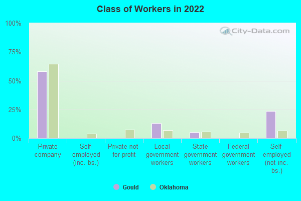 Class of Workers in 2022