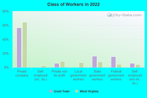 Class of Workers in 2022