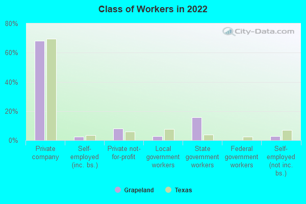 Class of Workers in 2022