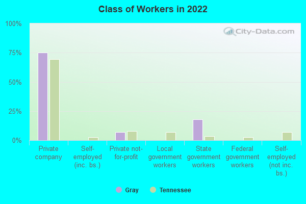 Class of Workers in 2022