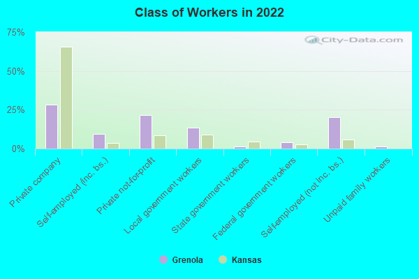 Class of Workers in 2022