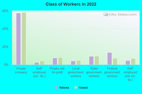 Class of Workers in 2022