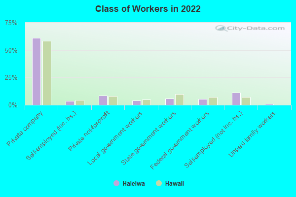 Class of Workers in 2022