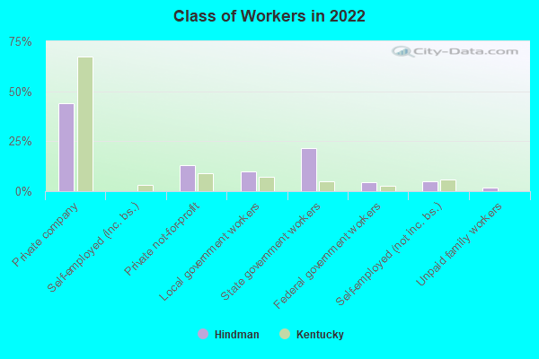 Class of Workers in 2022