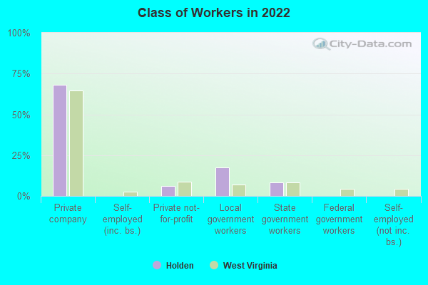 Class of Workers in 2022