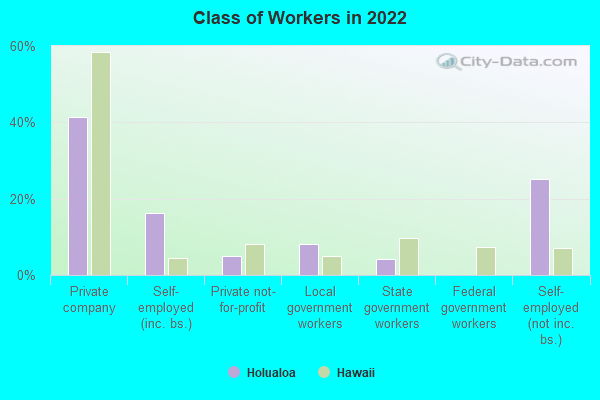 Class of Workers in 2022