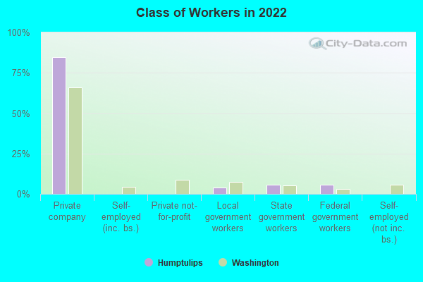 Class of Workers in 2022