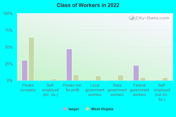 Class of Workers in 2022