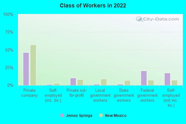 Class of Workers in 2022