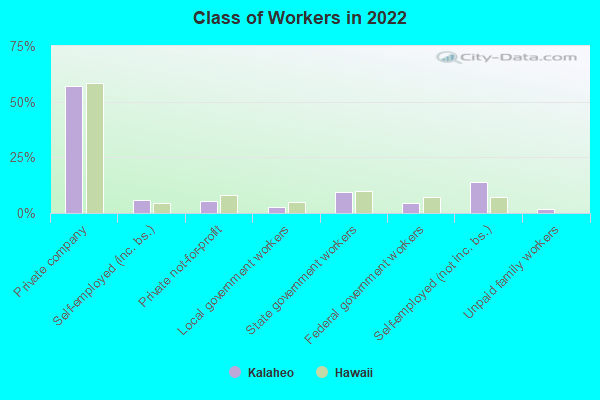 Class of Workers in 2022