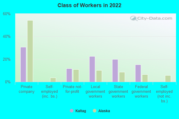 Class of Workers in 2022